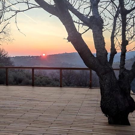 "Cara Pace" In Collina Per Famiglie Bed & Breakfast Montefiore Conca Exterior photo