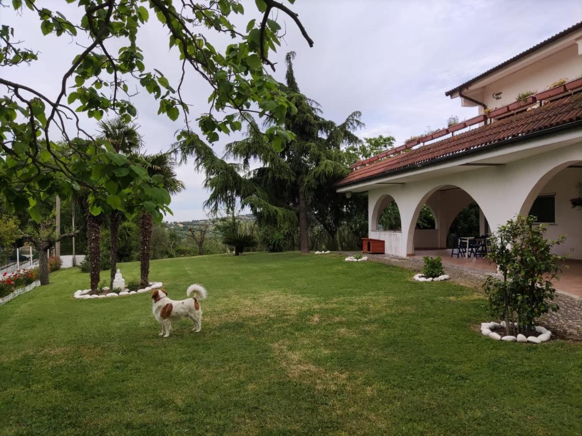 "Cara Pace" In Collina Per Famiglie Bed & Breakfast Montefiore Conca Exterior photo