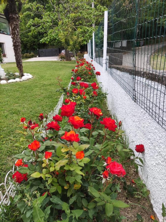 "Cara Pace" In Collina Per Famiglie Bed & Breakfast Montefiore Conca Exterior photo