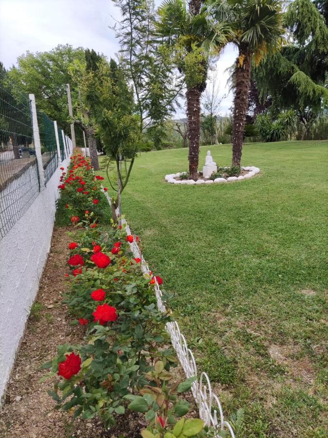 "Cara Pace" In Collina Per Famiglie Bed & Breakfast Montefiore Conca Exterior photo