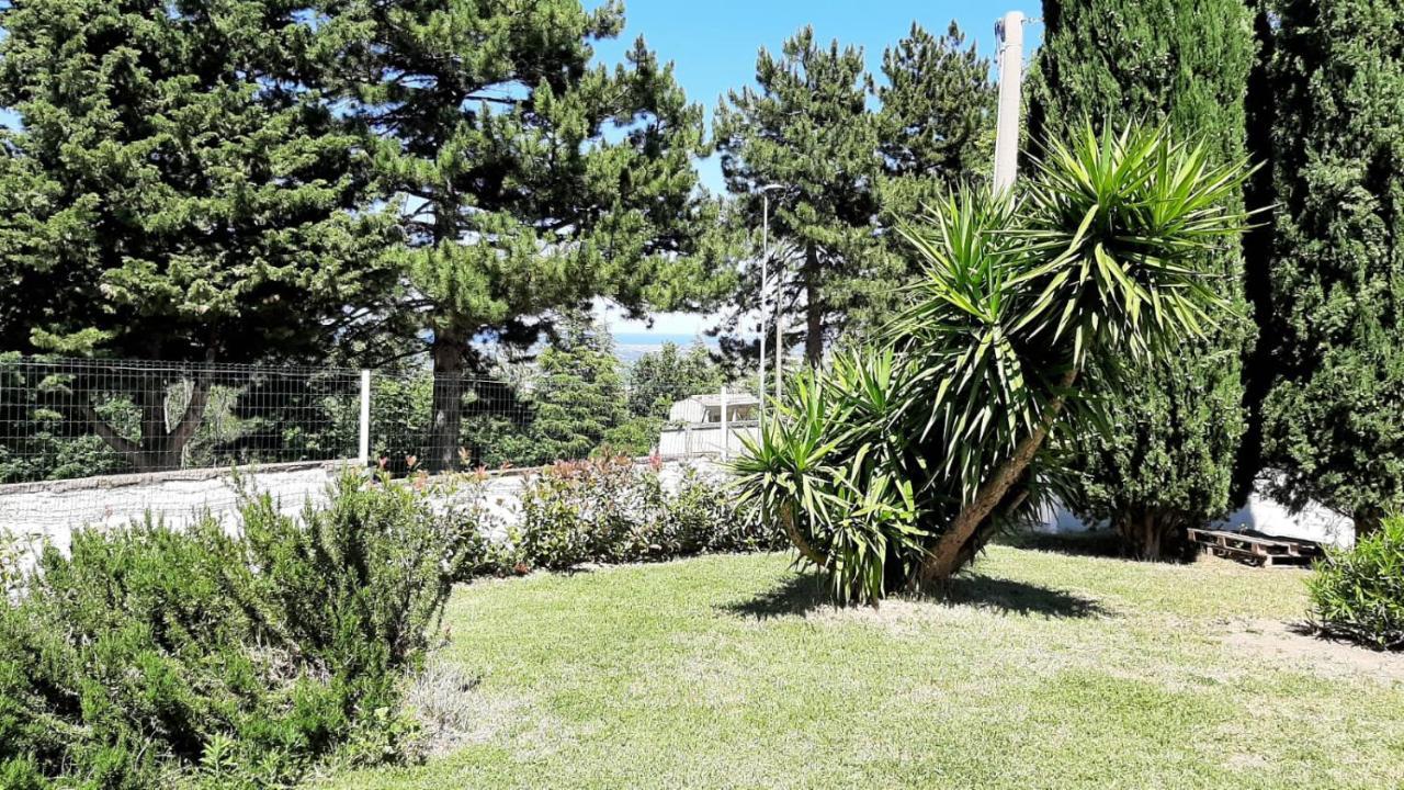 "Cara Pace" In Collina Per Famiglie Bed & Breakfast Montefiore Conca Exterior photo